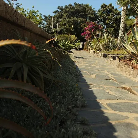 Casa Sevilla Finca Sanjuan Apartment Guia de Isora (Tenerife)